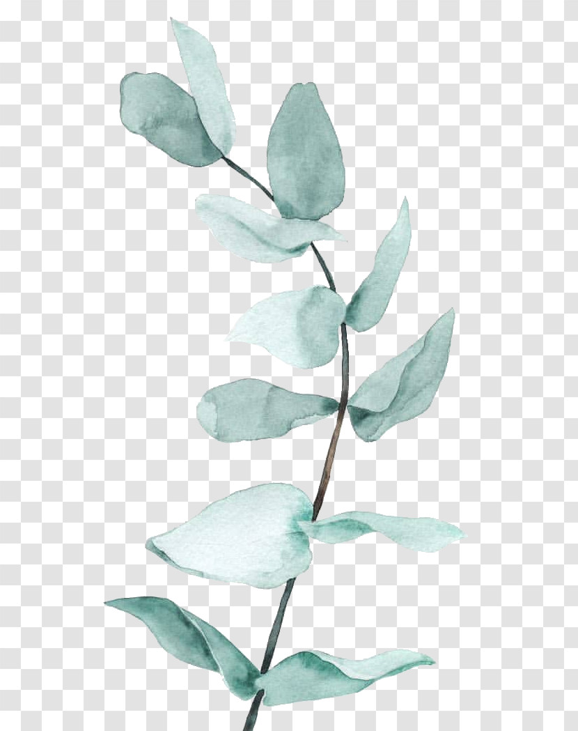 Leaf Flower Plant Petal Branch Transparent PNG