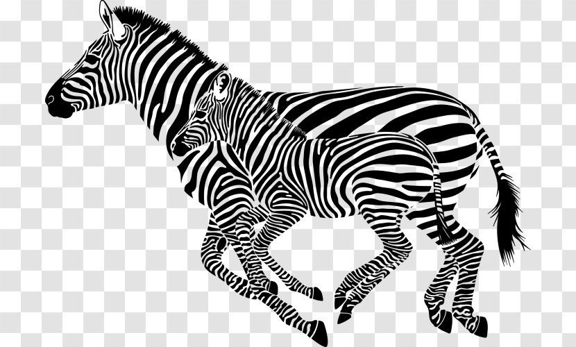 Zebra Cdr Clip Art - Drawing Transparent PNG