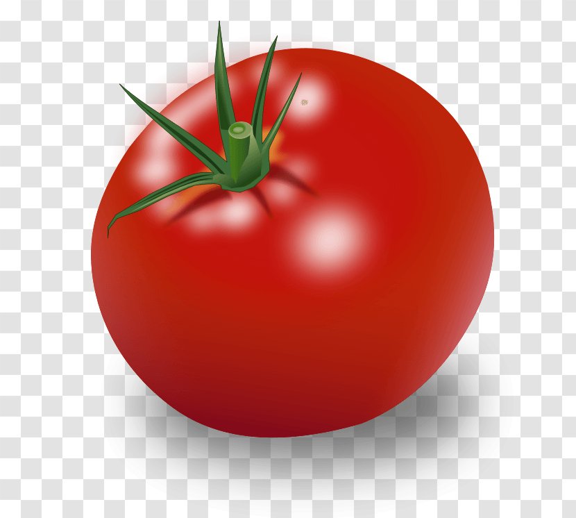 Vegetable Tomato Vegetarian Cuisine Bell Pepper Clip Art - Produce - Image Transparent PNG