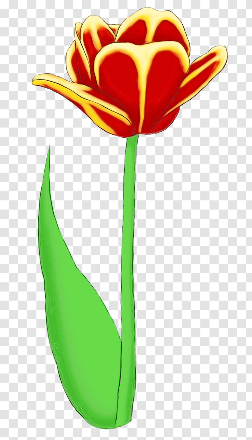 Clip Art Flower Tulip Plant Stem - Pedicel - Cut Flowers Transparent PNG