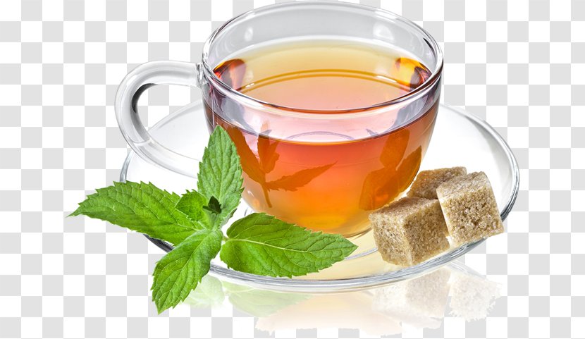 Earl Grey Tea Mate Cocido Green Oolong - Chinese Herb - Mint Transparent PNG