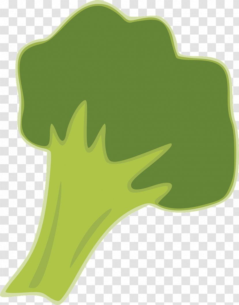 Broccoli Vegetable Brassica Juncea Food - Grass Transparent PNG