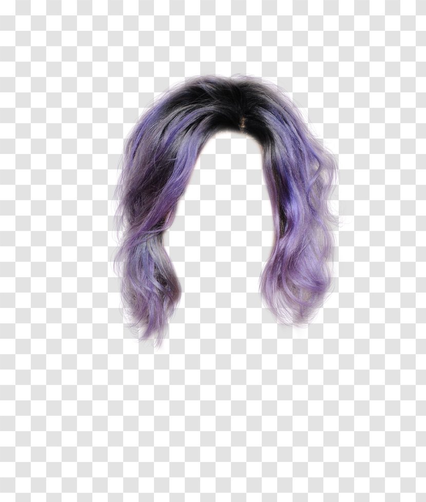 Fur Hair Tie Coloring Wig - Comb Transparent PNG
