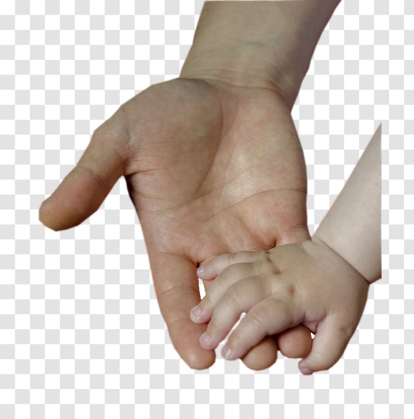 Poster Illustration - Joint - Big Family Holding Hands Love Transparent PNG