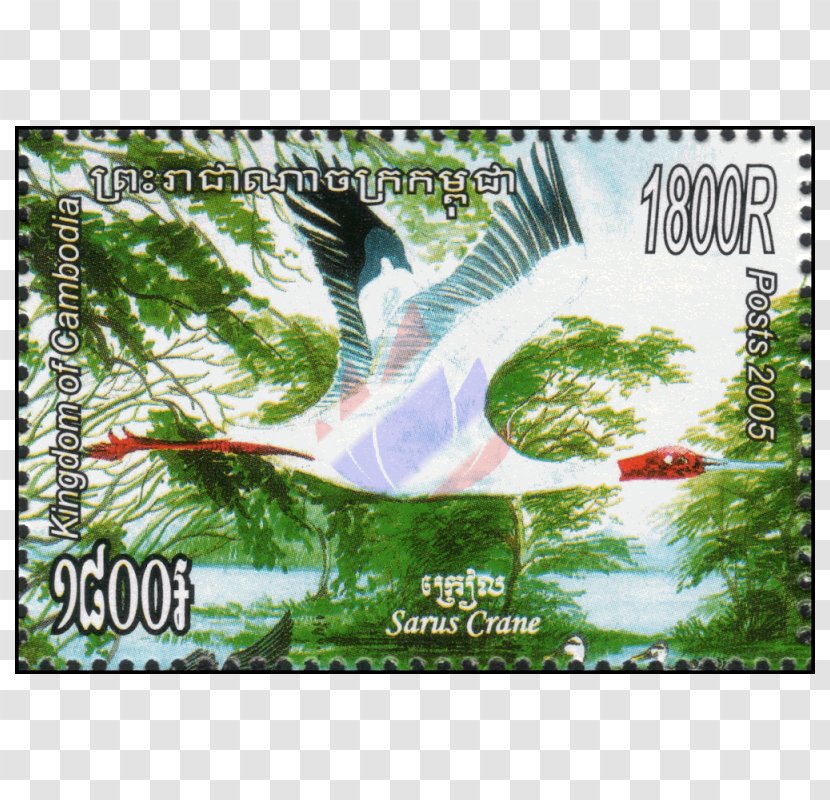 Burmese Sarus Crane Antigone Câu Lạc Bộ Sưu Tập Tem Viet Stamp Advertising - Waterbirds Transparent PNG
