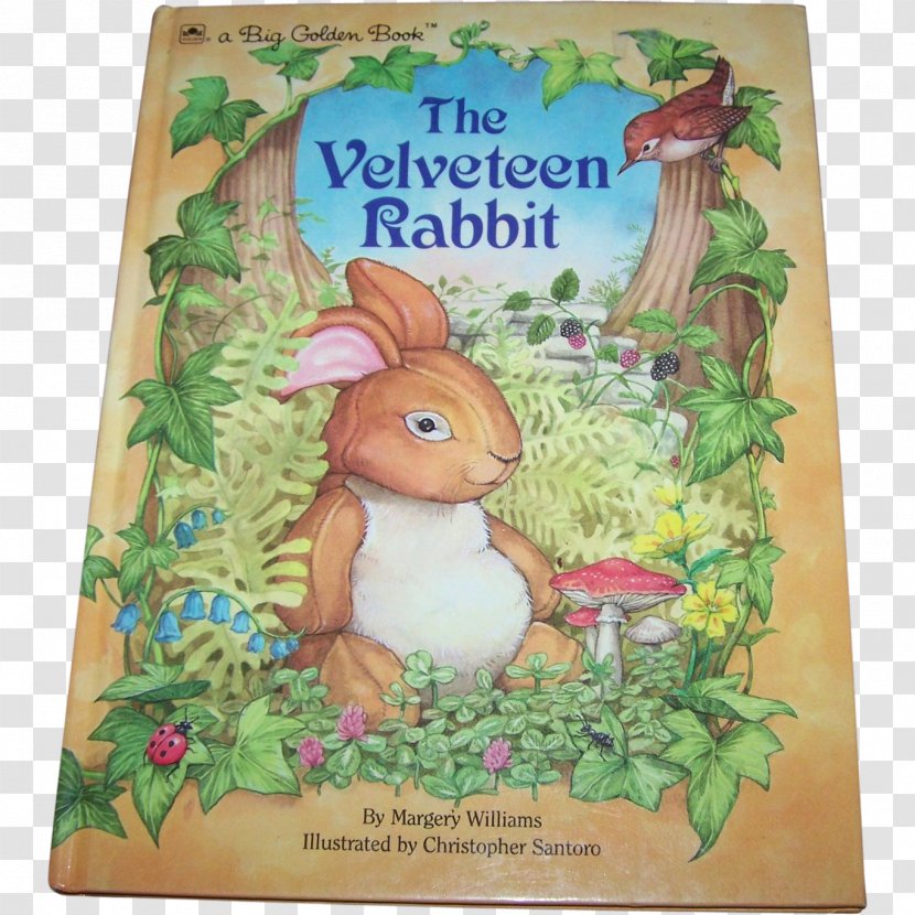 The Velveteen Rabbit Whispering Tale Of Peter Little Cottontail - Fauna Transparent PNG