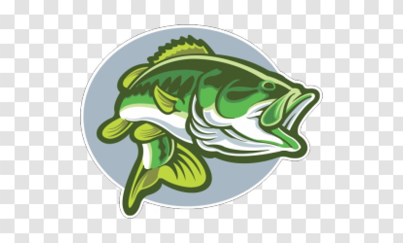 Largemouth Bass Fishing - Organism - Dragon Fish Transparent PNG