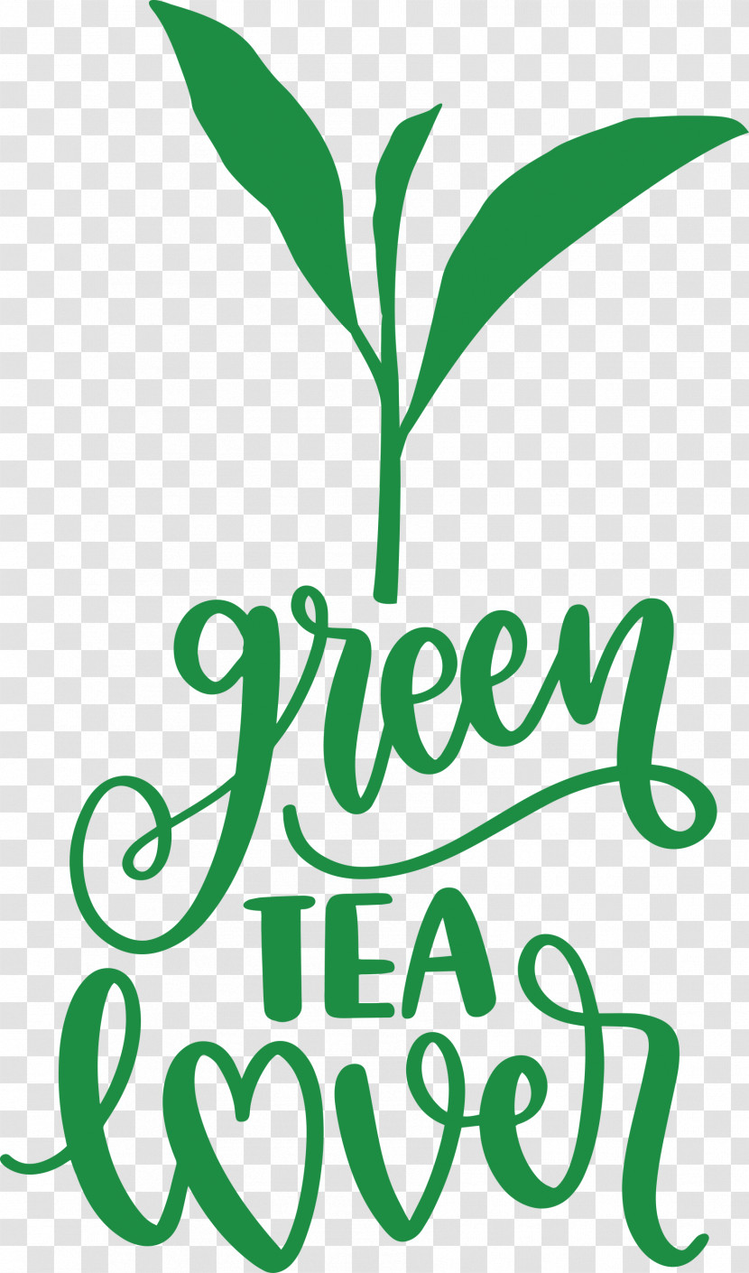 Green Tea Lover Tea Transparent PNG