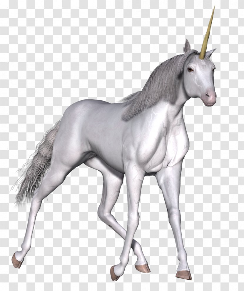 Unicorn Mane Mustang Legendary Creature - Horse Tack Transparent PNG