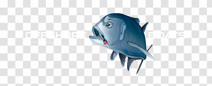 Tiger Cartoon - Drawing - Fish Transparent PNG