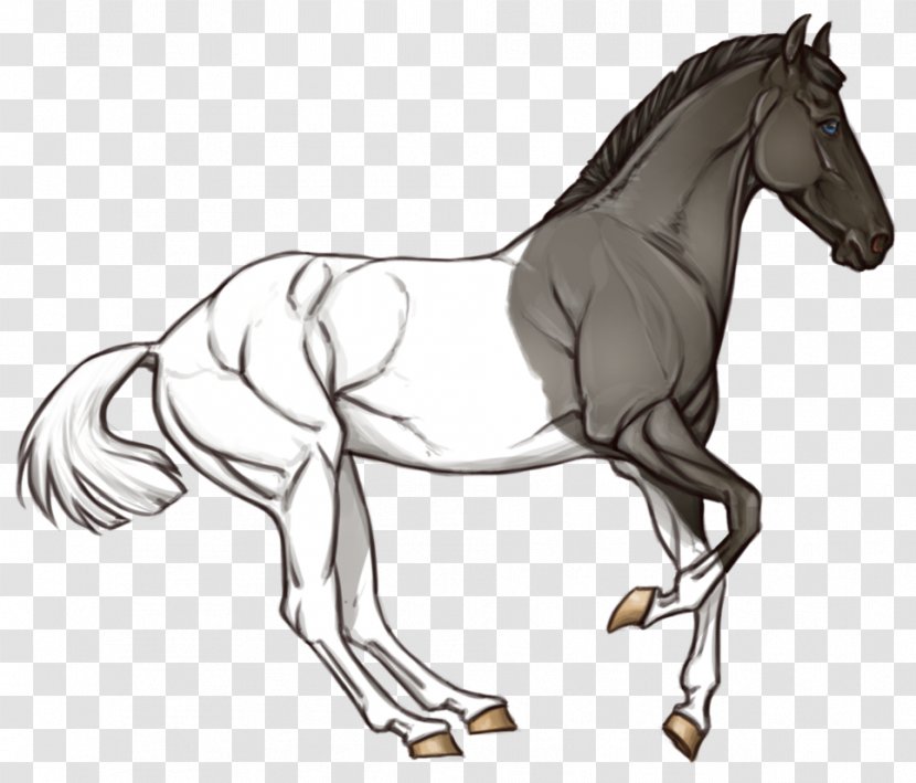 Mane Pony Foal Stallion Colt - Organism - Mustang Transparent PNG
