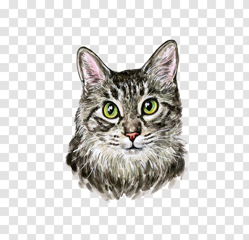 Cat Kitten Watercolor Painting Cuteness - Whiskers - Hand Painted Cute Transparent PNG