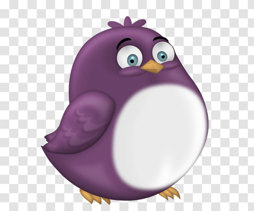 Bird Penguin Parrot Owl Drawing Transparent PNG