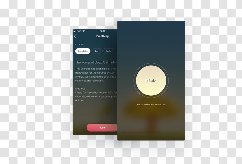 Mindfulness IOS App Store Mobile Meditation - Teacher - Creative Lungs Transparent PNG