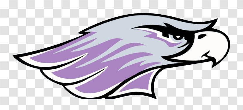 University Of Wisconsin–Whitewater Warhawks Football Wisconsin-Madison Marquette Wisconsin Intercollegiate Athletic Conference - Student Transparent PNG