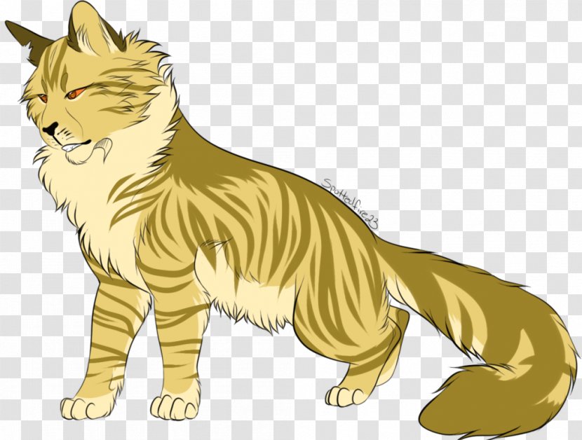 Wildcat Whiskers Lion Warriors - Puma - Cat Transparent PNG