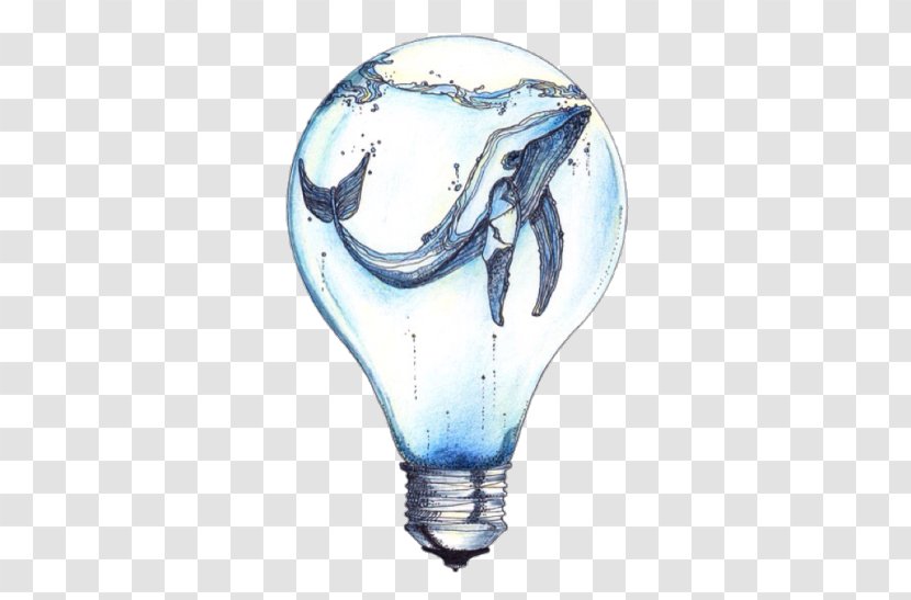 Incandescent Light Bulb Whale Drawing Art - Animal - Watercolor Ocean Transparent PNG