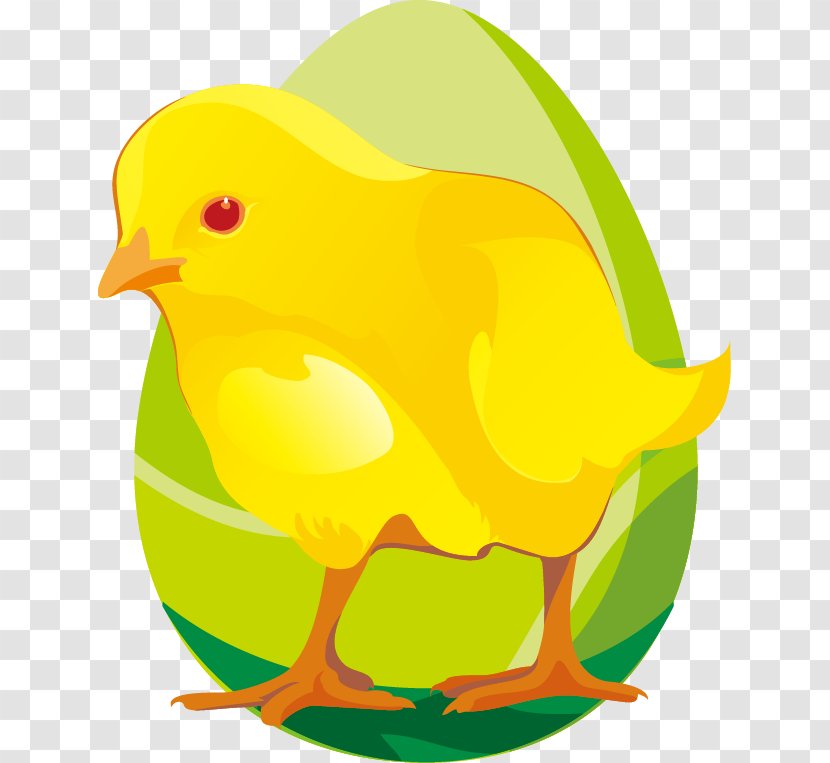 Chicken Paper Cartoon Postcard Clip Art - Fruit - Hand-painted Eggs Chick Green Pattern Transparent PNG