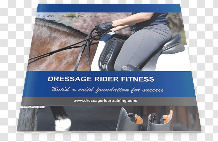 Pilates For The Dressage Rider: Engaging Human Spine Using Horse Training Equestrian - Fit Rider Transparent PNG