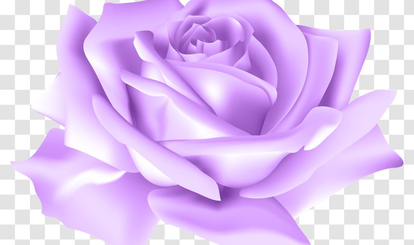 Clip Art Blue Rose Flower Garden Roses - Pink - Ink Landscape Material Transparent PNG
