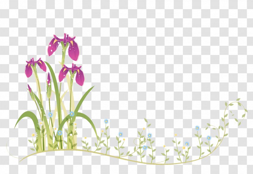 Border Flowers Moth Orchids - Pink - Purple Butterfly Flower Transparent PNG