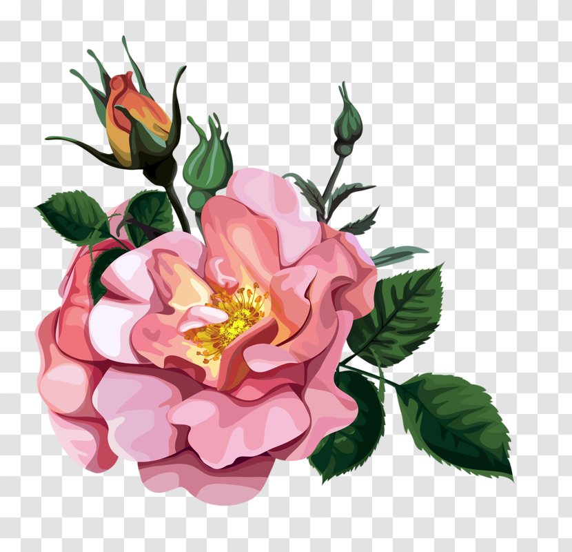 Garden Roses Flower Bouquet Clip Art - Seed Plant Transparent PNG