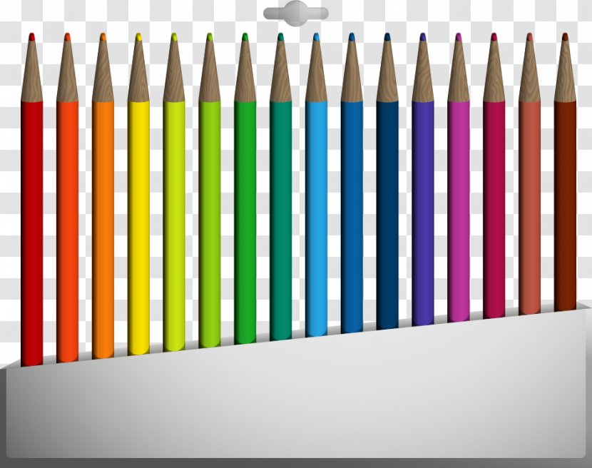 Colored Pencil Drawing - Vector Color Transparent PNG