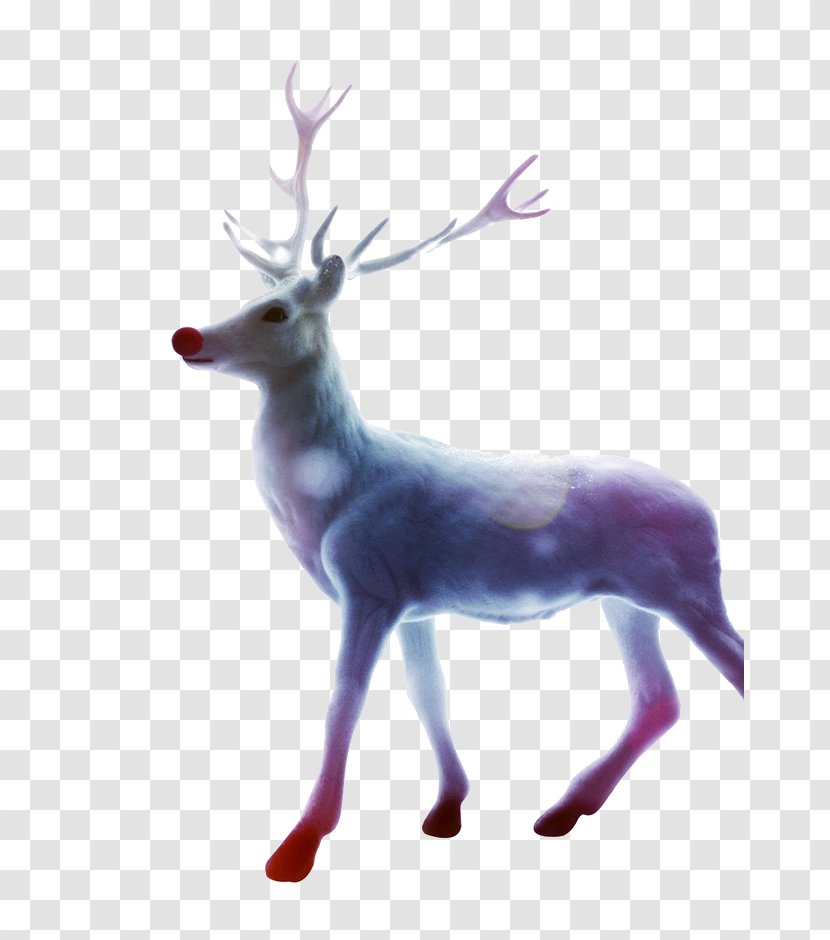 Santa Clauss Reindeer Christmas Gift - Sled - Deer Transparent PNG