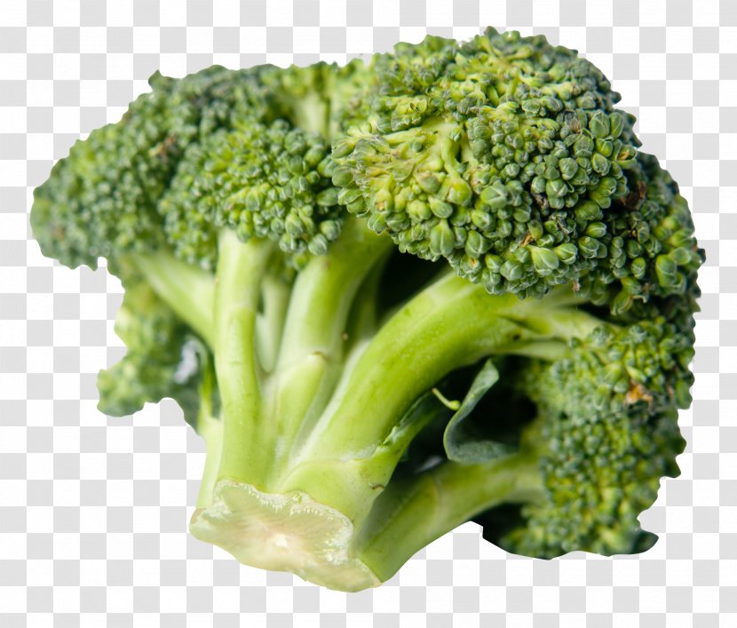 Broccoli Vegetarian Cuisine Vegetable Food Pasta Transparent PNG