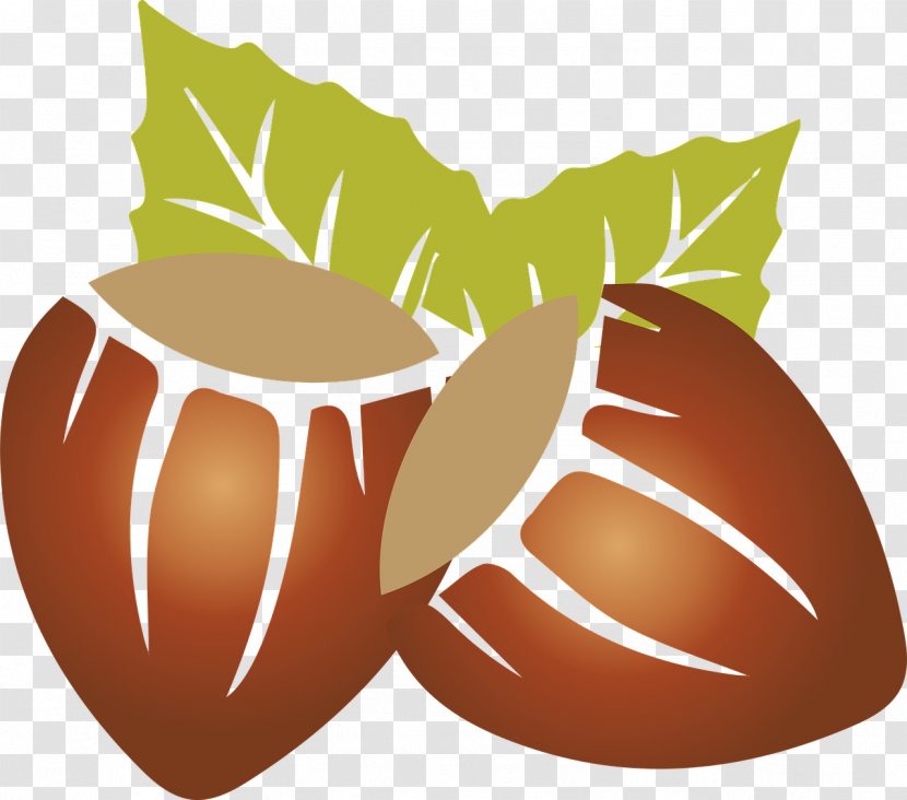 Hazelnut Clip Art Image - Fruit - Chokeberry Dried Transparent PNG