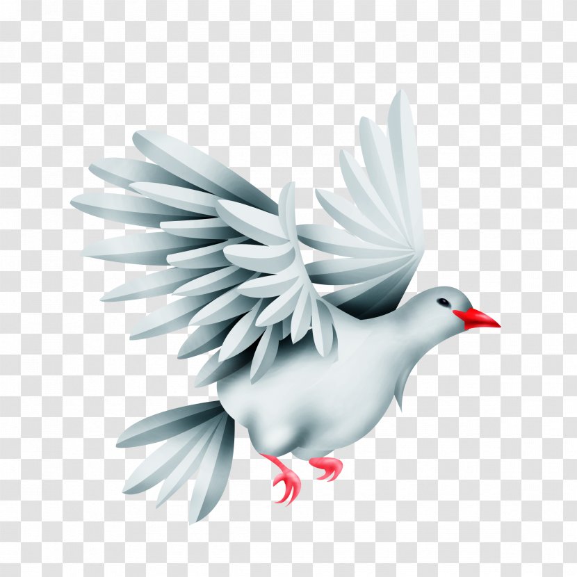 Bird Green Pigeon Rock Dove - Neck Transparent PNG