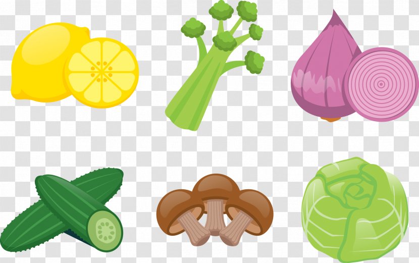 Lemon Cucumber Vegetable - Vector Illustration Vegetables Transparent PNG