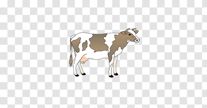 Calf Drawing Taurine Cattle Cow Clip Art - Goat Family - Prostate Gland Transparent PNG