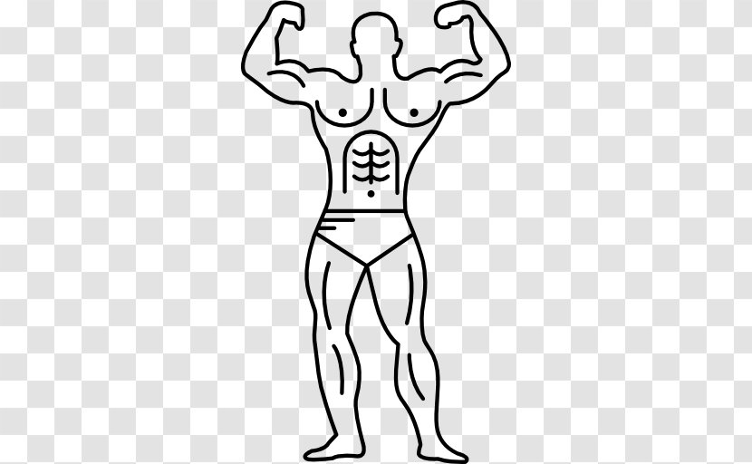 Muscle Human Body Arm Muscular System - Cartoon - Bodybuilders Vector Transparent PNG