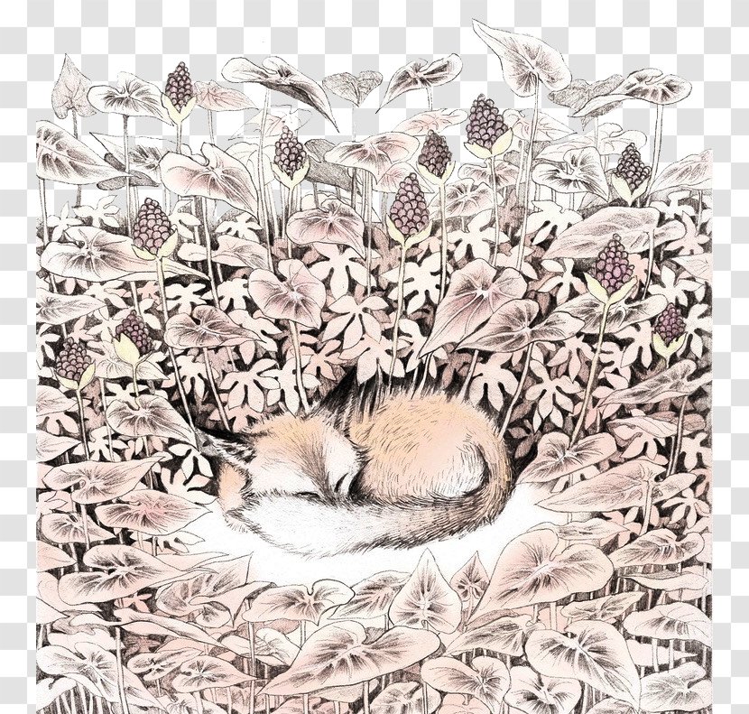 IPhone 6s Plus 6 Hedgehog Hibernation - Sleeping ForestFox Transparent PNG