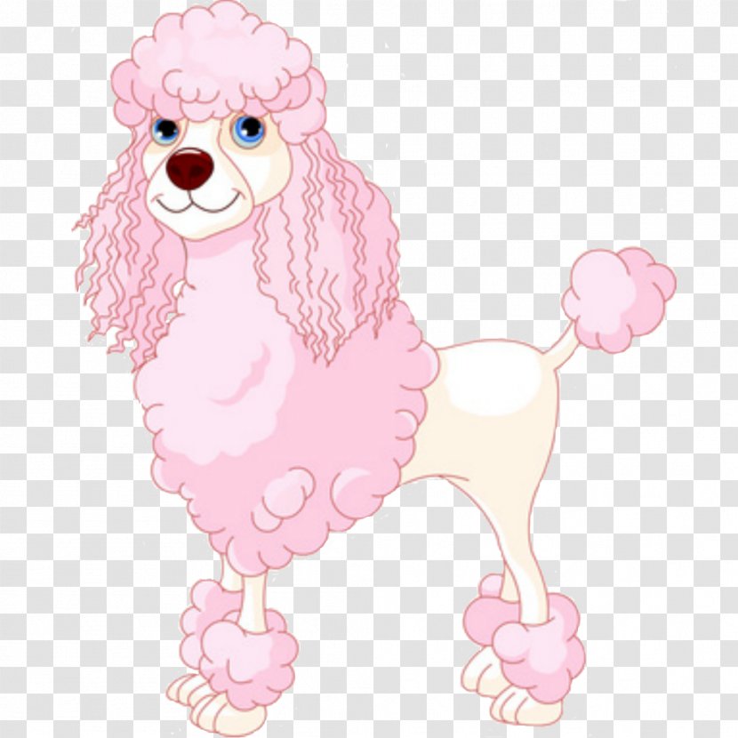 Toy Poodle Shih Tzu Puppy Clip Art - Photography Transparent PNG