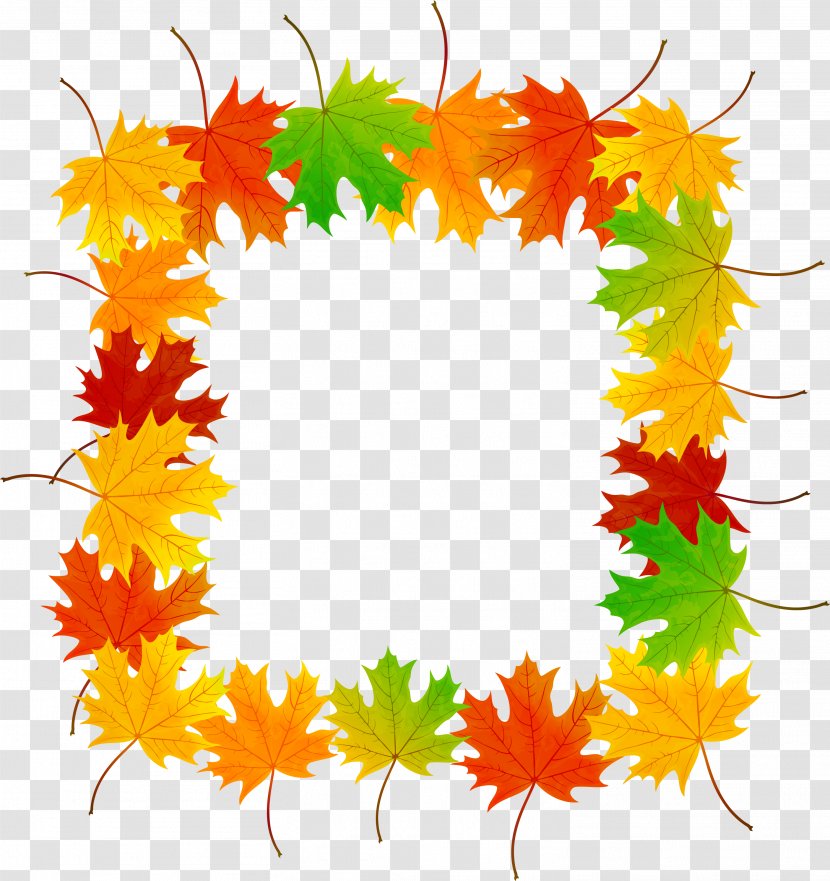 Maple Leaf - Tree - Yellow Frame Transparent PNG