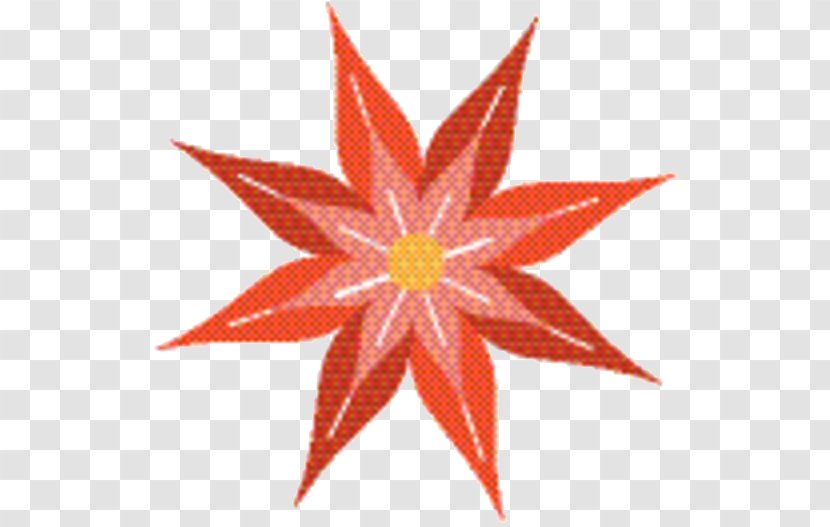 Star Background - Sewing - Flower Plant Transparent PNG