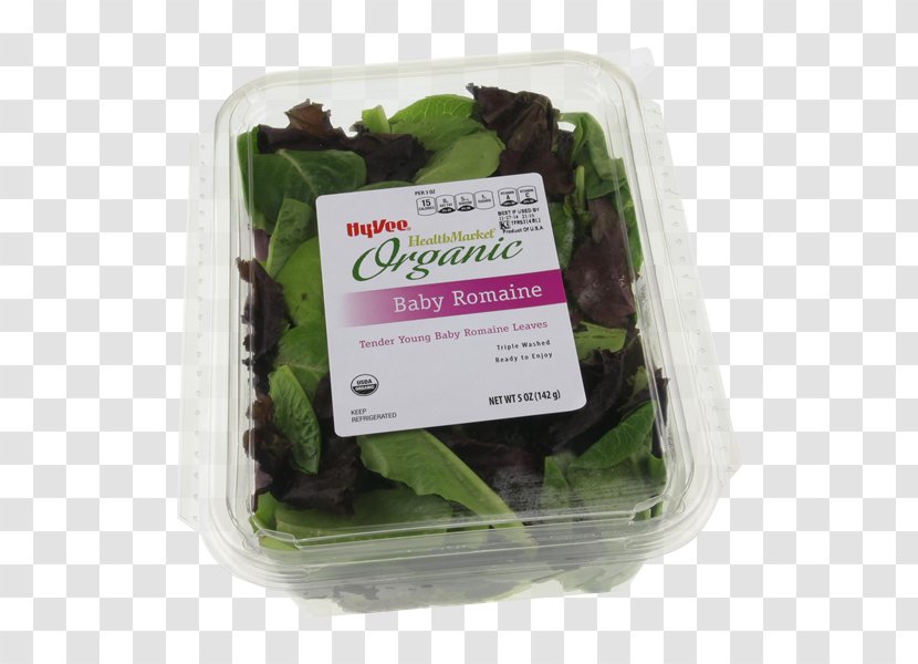 Leaf Vegetable Herb - Romaine Lettuce Transparent PNG