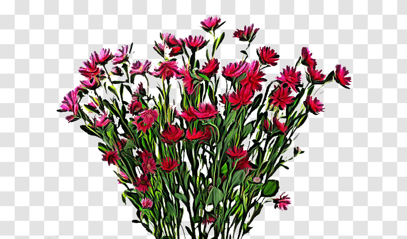 Flower Plant Cut Flowers Petal Wildflower Transparent PNG