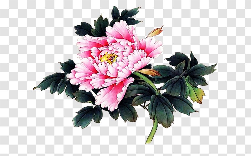 Peony Watercolor Painting Flower Drawing - Floral Design - Bud Transparent PNG