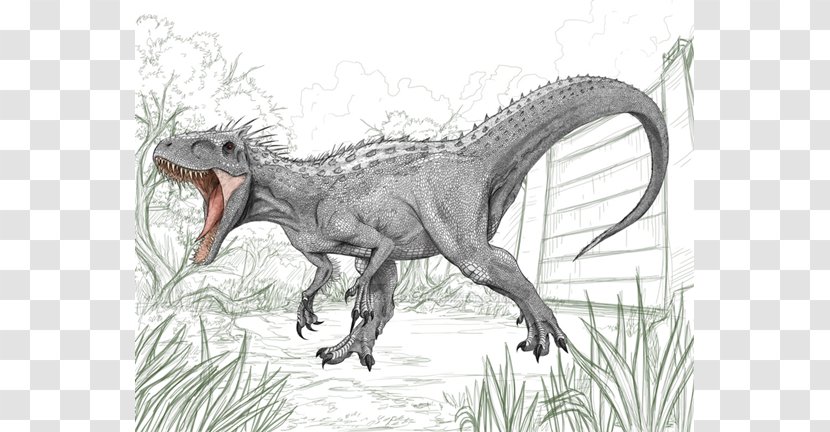 Tyrannosaurus Drawing Indominus Rex Jurassic Park - Lost World Transparent PNG