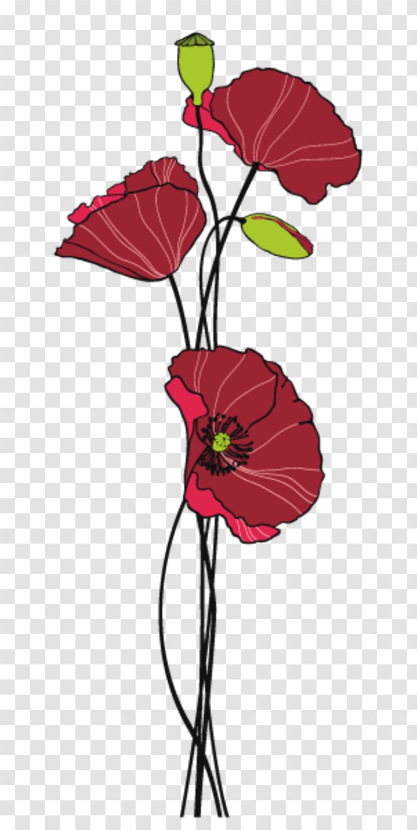 Sticker Flower Painting Common Poppy Image - Stickers Center Transparent PNG