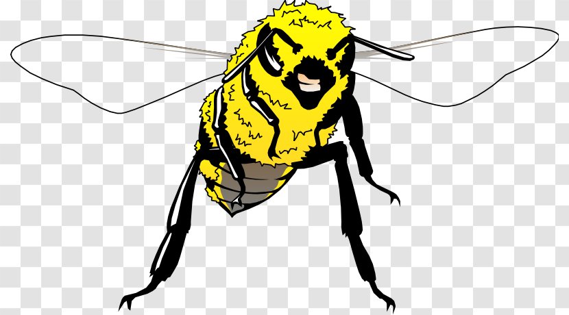Clip Art Honey Bee Vector Graphics Illustration - Cricket Insect Transparent PNG