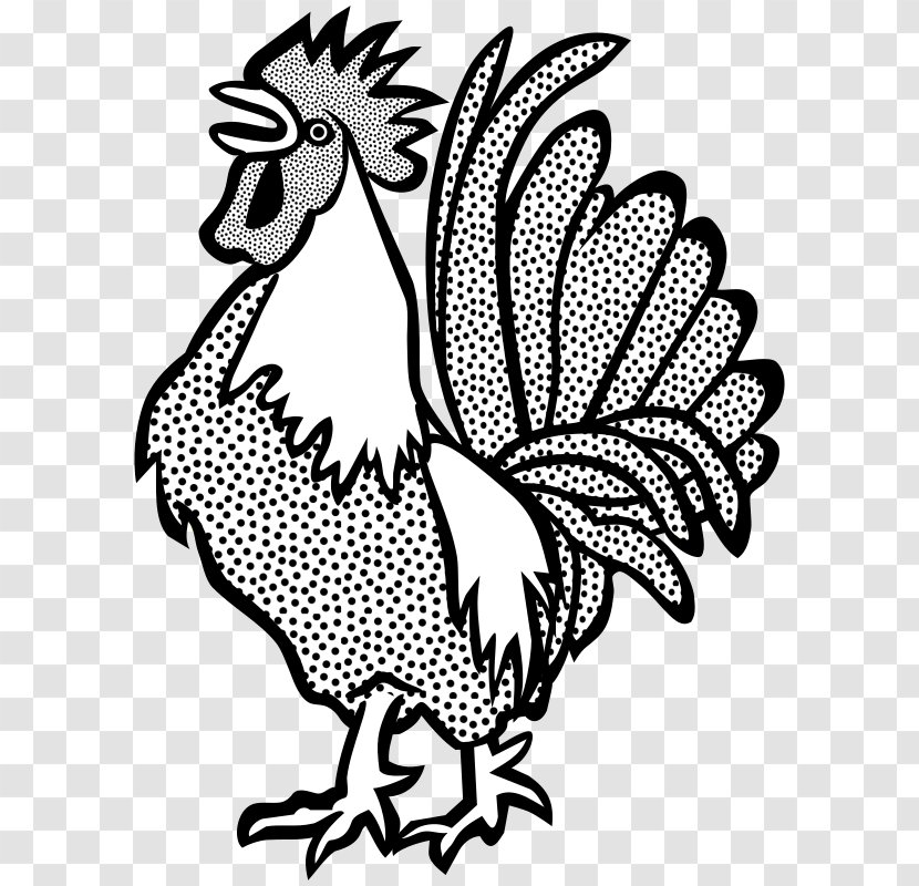 Chicken Rooster Drawing Line Art Clip - Feather - Big Dick Transparent PNG
