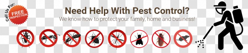 Rex -Pest Control Services,Termite Pest In India Mosquito REX - Services AhmedabadMosquito Transparent PNG