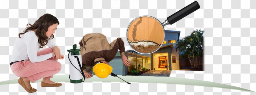 Insect Pest Control Business Termite - Recreation Transparent PNG