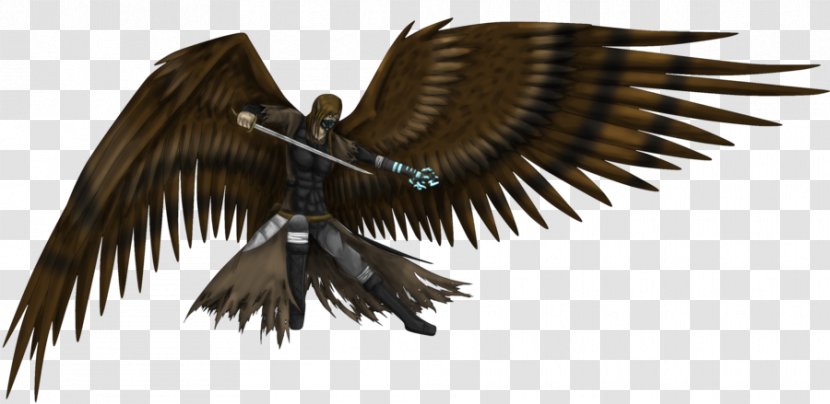 Harpy Eagle Bird Archaeopteryx Hybrid - Homo Sapiens Transparent PNG