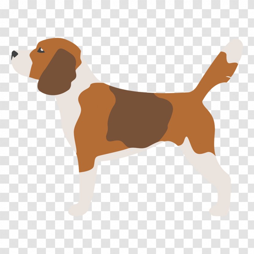 Beagle Harrier Puppy Dog Breed Kerry Blue Terrier - Mammal Transparent PNG