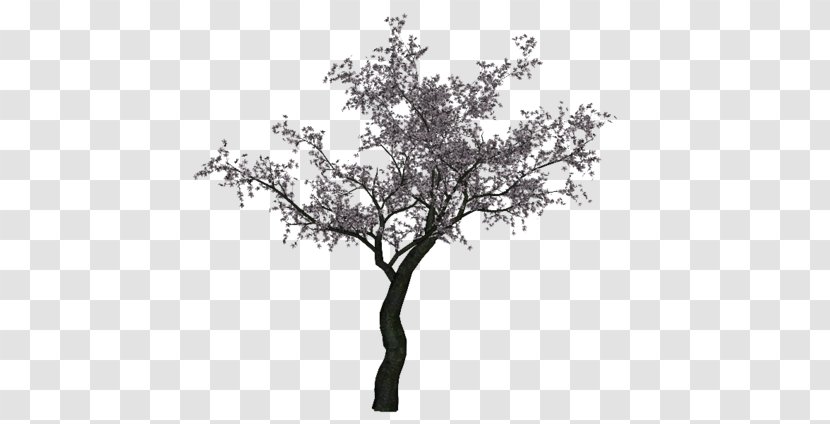 Twig Green Tree RGB Color Model - Plant Transparent PNG